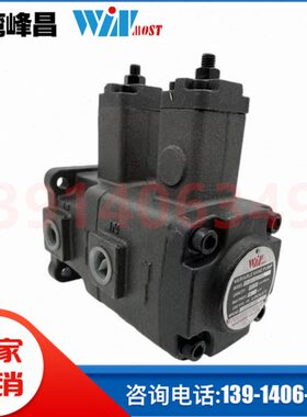 VP-SF-40-D VP-SF-12-A台湾峰昌WINMOST叶片泵VP-DF EG-PB液压泵