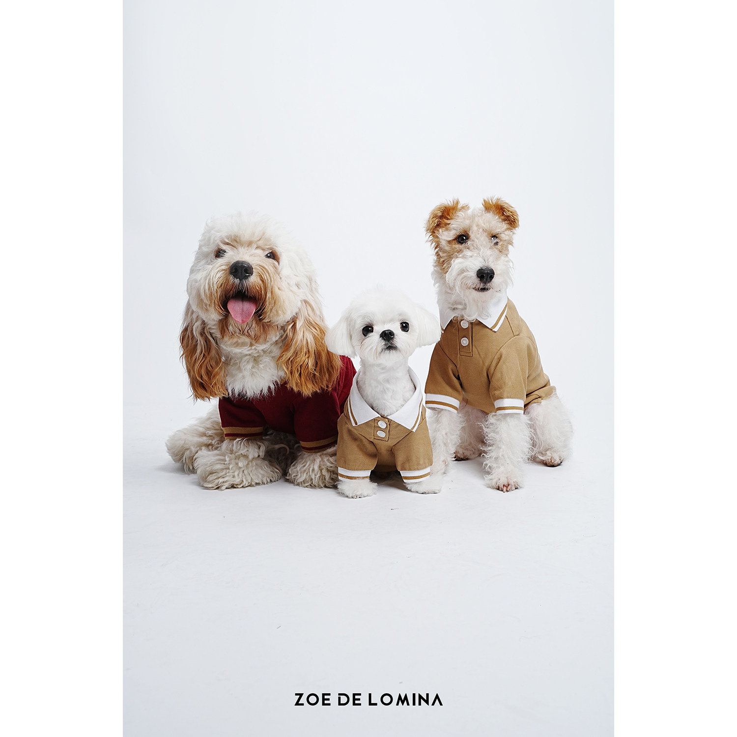 ZOE秋季新款英伦老钱风宠物狗狗新款高级风纯棉透气POLO中小型犬