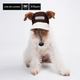 Zoe 英伦学院风宠物狗狗梭织帽子马尔济斯雪纳瑞比熊约克夏帽子