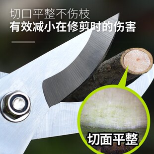 深邦果树修枝剪刀园艺园林修花枝剪家用强力花剪子神器剪枝剪刀
