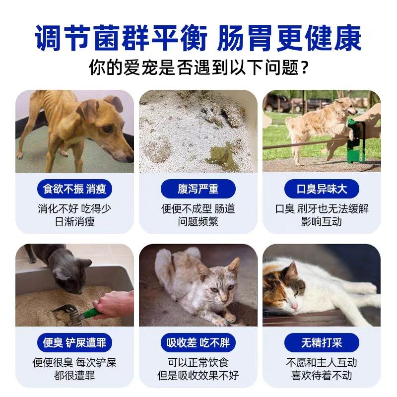 比熊益生菌营养补充剂宠物猫咪狗狗调理肠胃呕吐拉稀厌食