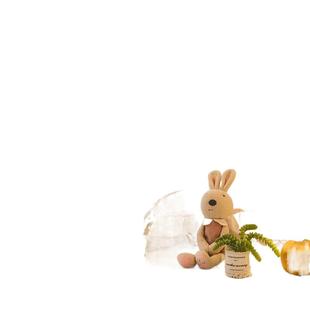 家用卧室上下床学生宿舍上下铺通用加密 子母床绣花蚊帐2025年新款