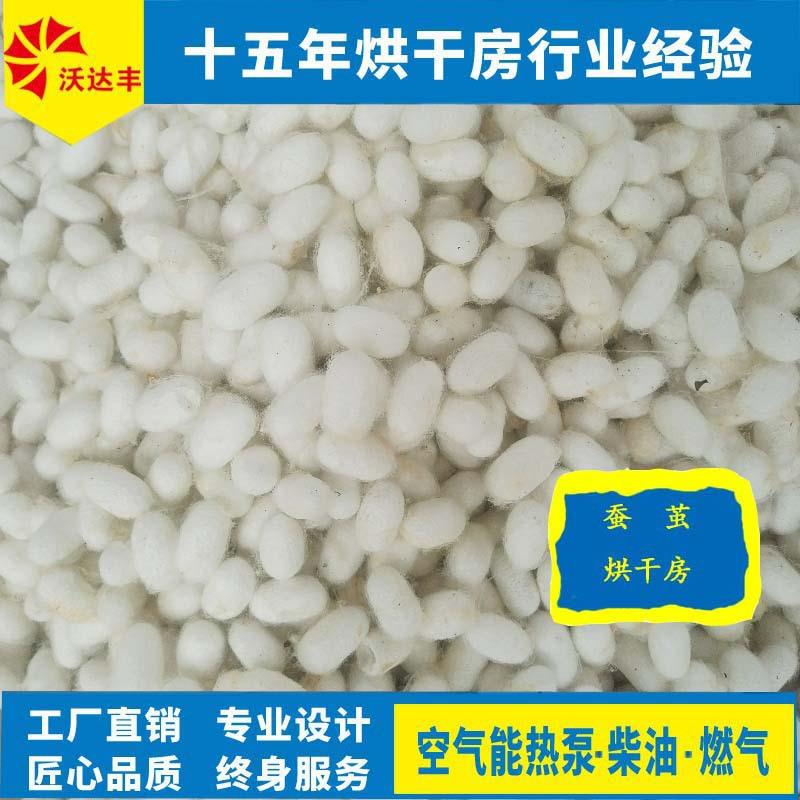 蚕茧烘干房蚕衣烘干机茧黄干燥设备中药材蚕茧壳农产品果蔬干燥箱