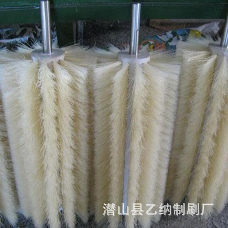 电子设备除尘清洁刷子玻璃果蔬清洗机毛刷辊异形毛刷刷头