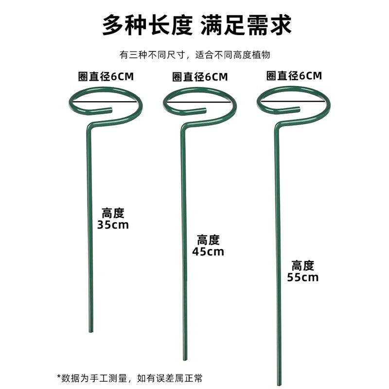 植物防倒伏支架铁艺绣球吊兰支撑杆园艺固定架爬藤花卉朱顶红花架,鲜花速递/花卉仿真/绿植园艺,其它园艺用品,淘宝优惠券,粉丝福利购,淘宝优惠卷