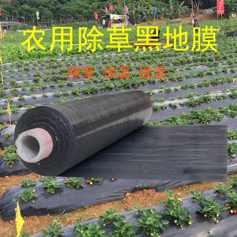 白地膜农用白膜黑膜微膜保温保湿蔬菜大棚种植混凝土保护塑料薄膜