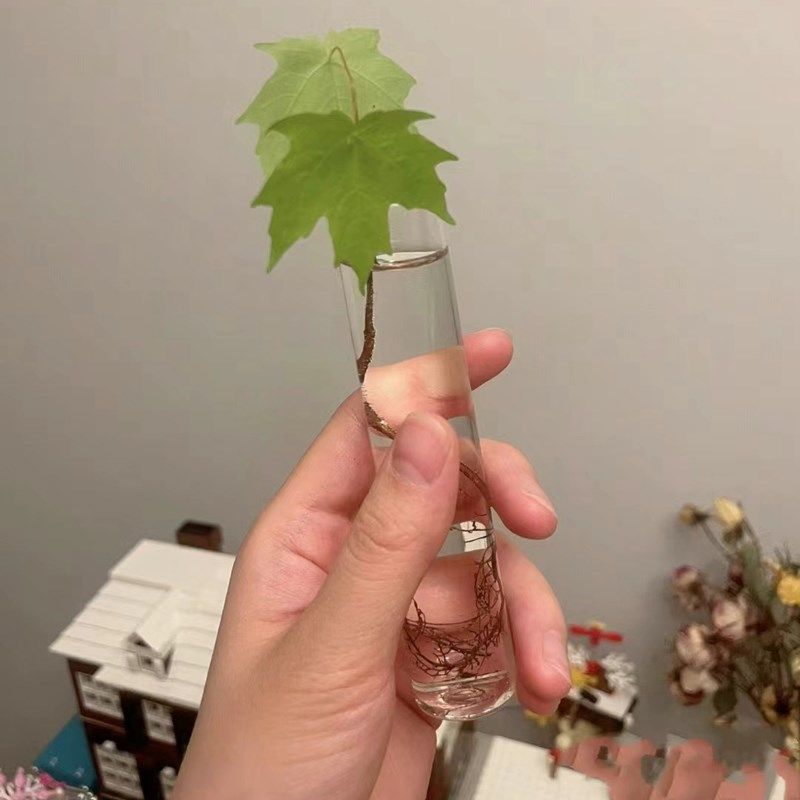 试管花瓶透明玻璃水培花瓶水养植物迷你小花瓶水培绿植细长水培瓶