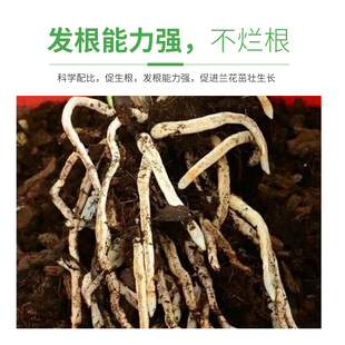 兰花土兰科专用介质腐熟松树皮陶基兰石蕙兰剑兰蝴蝶兰栽培营养土