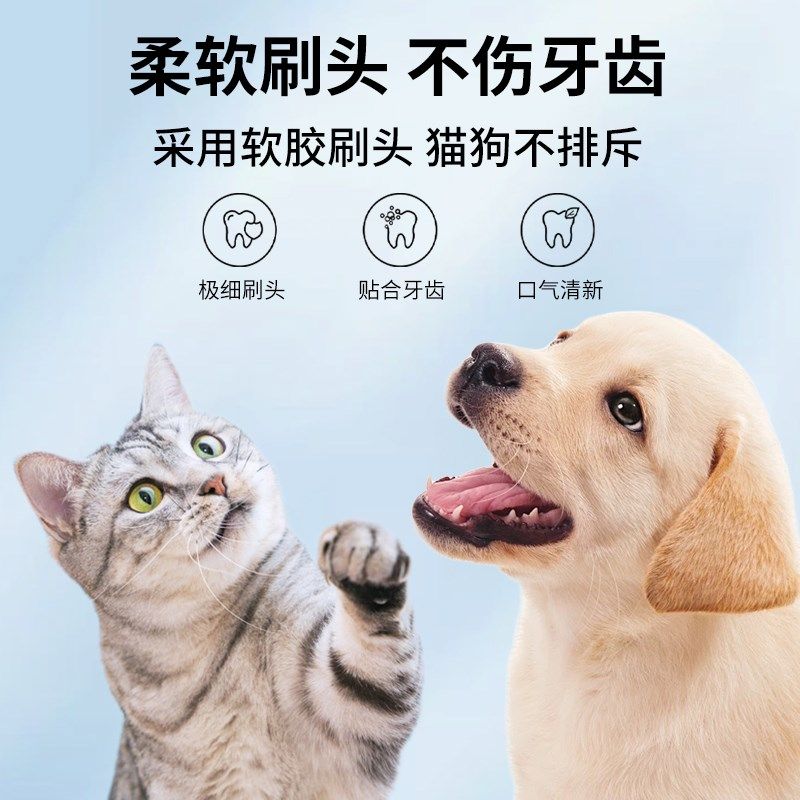 Yegbong宠物牙刷笔猫咪口腔清洁除口臭去结石狗狗牙结石去除神器,宠物/宠物食品及用品,猫狗牙膏/牙具,淘宝优惠券,粉丝福利购,淘宝优惠卷