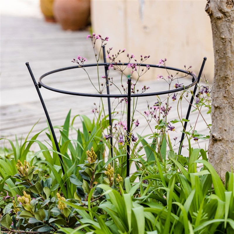 铁艺花爬藤曼架支架月季花支撑架室内花园铁线莲庭院蔬果支架杆攀