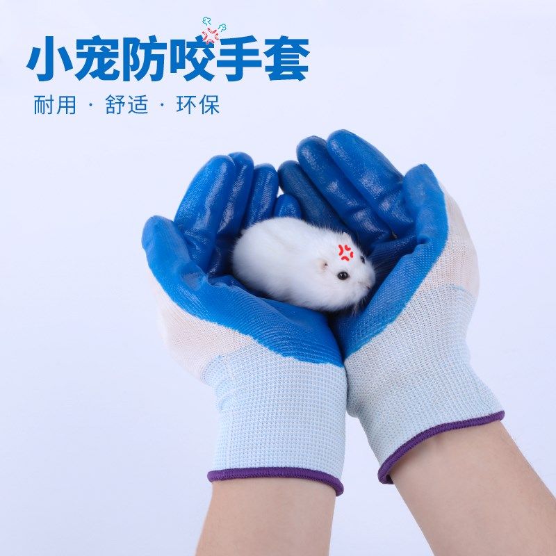 仓鼠防咬手套 鼠鼠防啃 手抓仓鼠兔子 保护手套 仓鼠用品宠物用品,宠物/宠物食品及用品,玩具/造景装饰,淘宝优惠券,粉丝福利购,淘宝优惠卷