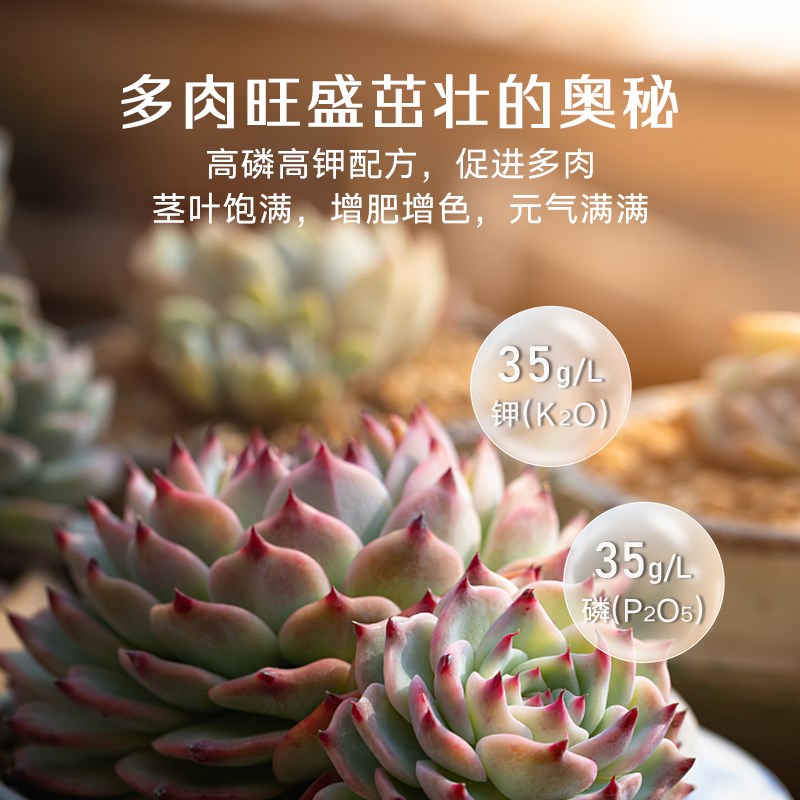 高力高多肉专用型植物营养液家用盆栽土培多肉植物增色生根花肥料