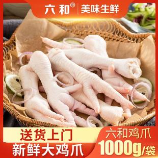 六和新鲜冷冻鸡爪鸡脚大鸡爪子长爪非腌制泡椒凤爪去骨鸡爪原料