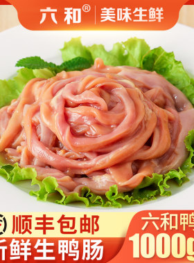 六和冷冻新鲜生鸭肠生抠鸭肠火锅食材包邮纯干货批发商用