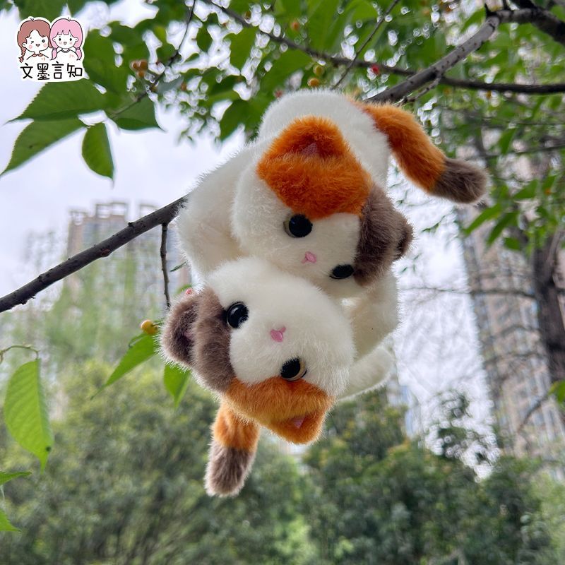 香香软吸宝磁铁三花猫毛绒猫咪公仔玩偶冰箱贴玩具
