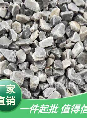 供应砾石灰色砾石黑色碎石子园林景观砾石工程铺路卵石