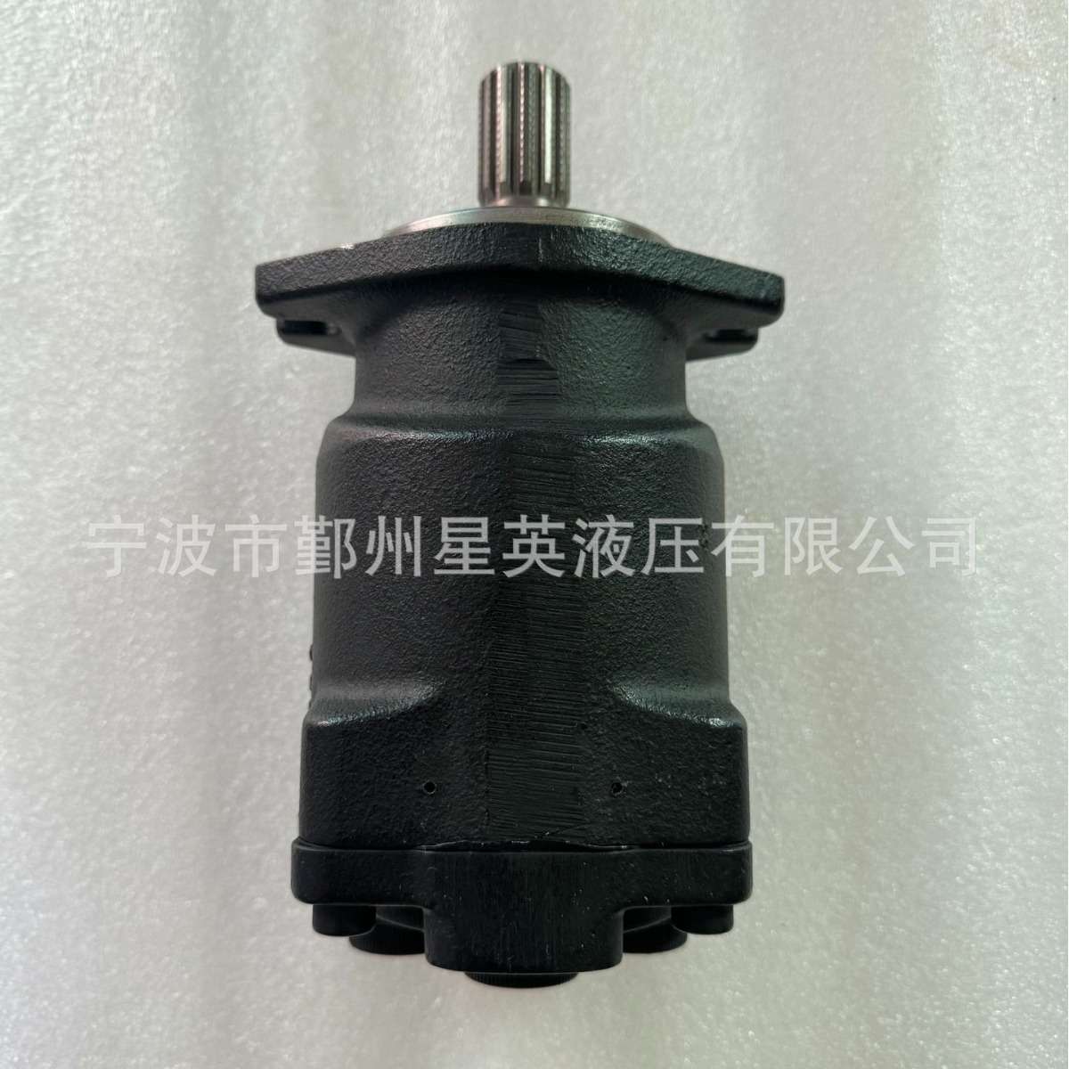 A10FL19 A10FL21 A10FL25 A10FL36 A10FL40液压马达