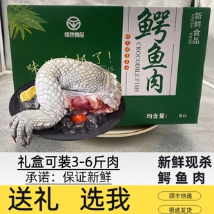 一整根5斤鳄鱼腿 礼盒装 鳄鱼肉 新鲜现杀人工养殖鳄鱼 鳄鱼腿