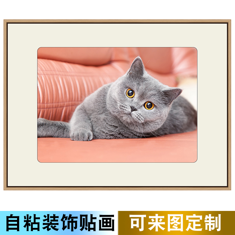 宠物萌宠猫咪蓝猫墙贴画动物卧室客厅自粘贴纸装饰挂画贴画可定制图片