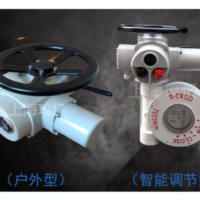 DZW30T-24推力型阀门电动装置 铜螺母 执行器直行程执行机构电动