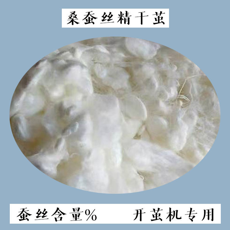 桑蚕丝精干茧现场开茧机蚕丝被原料%桑蚕丝茧壳