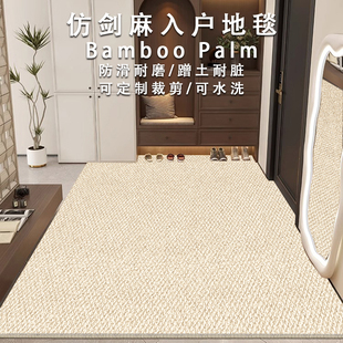 仿剑麻地垫入户门垫防猫抓进门门口脚垫玄关门外地毯可裁剪家用