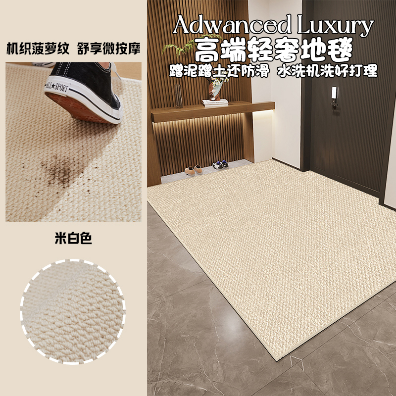 2025新款轻奢高级感入户门地垫
