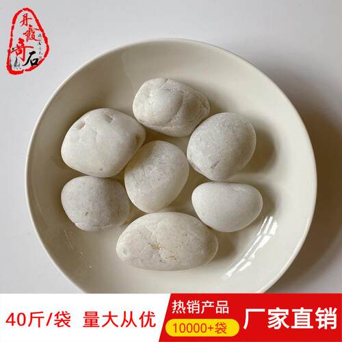 广州酸洗白色鹅卵石A级园林工程铺面用造景石