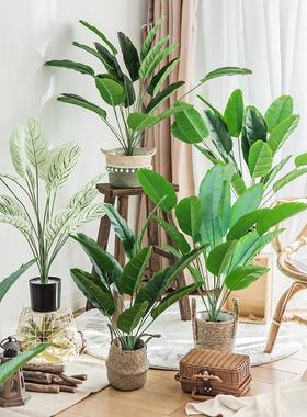 北欧客厅仿真绿色植物绿植装饰假花天堂鸟ins小盆栽摆件创意家严