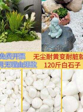 天然白色鹅卵石铺地造景园林景观庭院多肉绿植步町石白石子白沙石