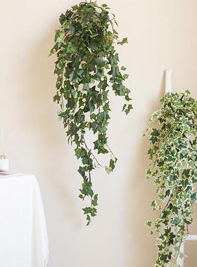 仿真藤条 1.8米常春藤 仿真植物 橱窗挂壁仿真植物绿色藤条