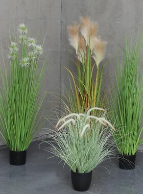 仿真树狗尾巴草绿植盆景北欧绿色落地植物家居室内装饰芦苇盆栽