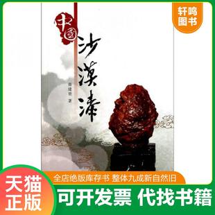 正版速发9787539324593 中国沙漠漆 商建堃 海峡出版发行集团；福建美术出版社