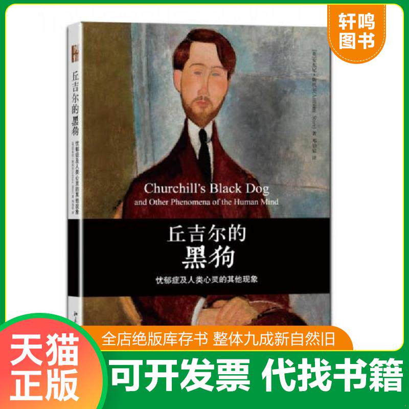 正版发货快丘吉尔的黑狗:忧郁症及人类心灵的其他现象 9787301199848 AnthonyStorr 北京大学出版社