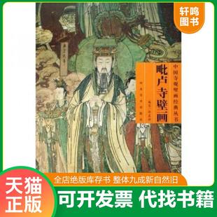正版速发9787531028673 毗卢寺壁画 无盘 孙启祥 河北美术出版社