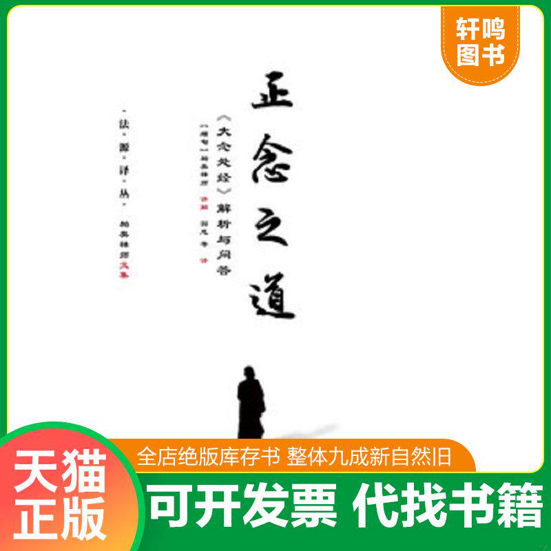 正版发货快正念之道:《大念处经》解析与问答 9787509771938 帕奥禅师园慈 社会科学文献出版社