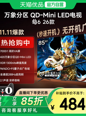 雷鸟鹤6 26款 85英寸MiniLED分区4K 288Hz超高刷平板电视机85R69A