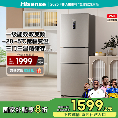 海信251L一级能效风冷无霜变频节能冰箱BCD-251WYK1DPJ