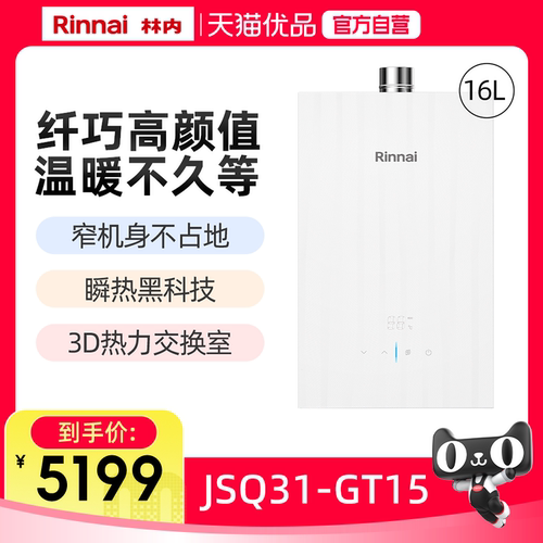 林内16升GT15燃气热水器