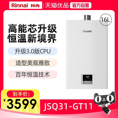 16升GT11林内恒温燃气热水器家用