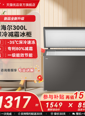 Haier/海尔  BC/BD-300GHEPCD灰 卧式冷柜