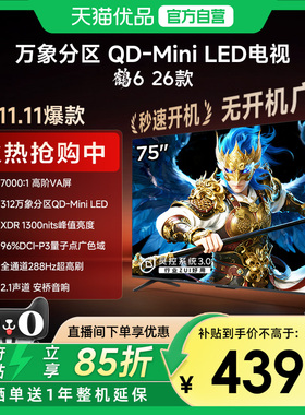 雷鸟鹤6 26款 75英寸MiniLED分区4K 288Hz超高刷平板电视机75R69A