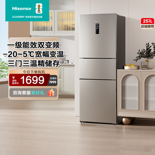 海信251L一级能效风冷无霜变频节能冰箱BCD 251WYK1DPJ
