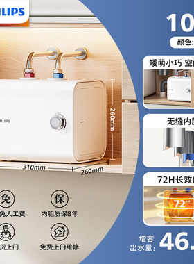 飞利浦小厨宝储水热水器小型迷你速热一级能效AWH1013/93(070UA)