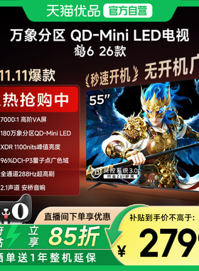 雷鸟鹤6 26款 55英寸MiniLED分区4K 288Hz超高刷平板电视机55R69A