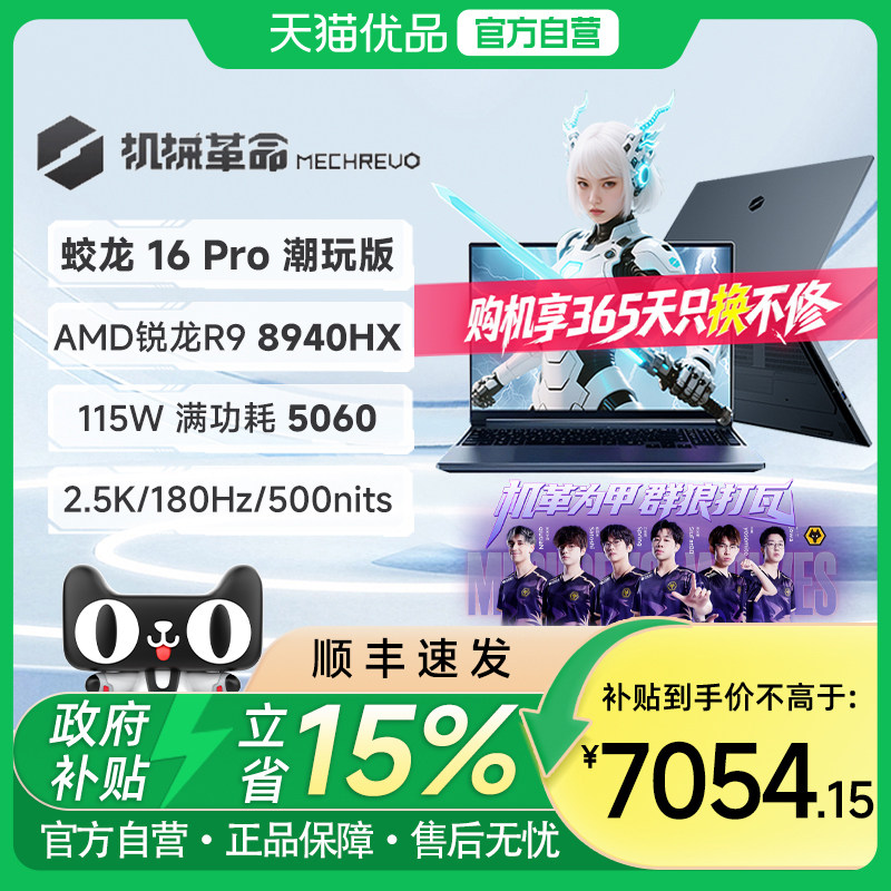 机械革命 蛟龙16Pro 潮玩版锐龙9 8940HX 16英寸R