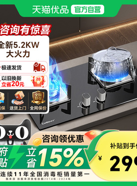 Canbo/康宝 2QB219燃气灶家用天然气瓶装液化气双灶猛火台式嵌入