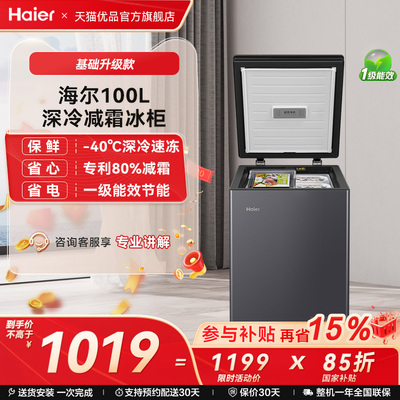 家用100GHEPGD冷柜Haier/海尔