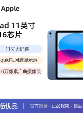 Apple/苹果 ipad 11 A16芯片 11英寸 2025新款平板电脑
