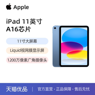 ipad A16芯片 11英寸 平板电脑 Apple 2025新款 苹果